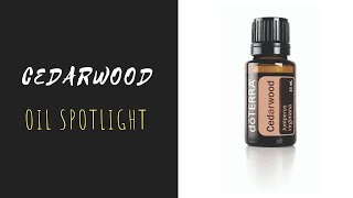 Cedarwood  doTERRA Essential Oil Spotlight [upl. by Vanda]