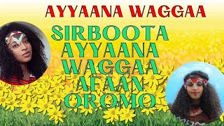 sirboota ayyaana waggaa afan oromo [upl. by Malanie]