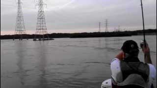 TENNESSEE RIVER Tailrace Fishing Wheeler Dam Stripers in Alabama 2012 [upl. by Maison]