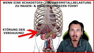 Magenschmerzen  Bauchschmerzen ohne Ursache Die Schadstoffbelastung und ihre Auswirkungen [upl. by Naawaj]