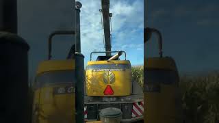 Behind the New Holland FR 550 inside view 🚜 harvest cornharvesting shortsvideo [upl. by Cadman]