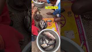 ✨Today ✅Hogenakkal River🌊 Jalebi🐠 Fish jalebi selling viral ontrending shortsfeed [upl. by Telracs184]