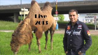 Cheb Bilal Sghir LiVe Mai 2013  Hadjala Ba Wladha  By Langou [upl. by Nodarse305]