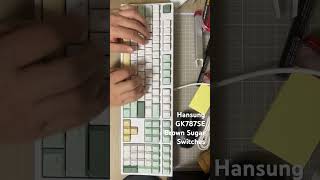 Hansung GK787SE Officemaster Keyboard mechanicalkeyboard typing keyboardtyping [upl. by Nolitta]