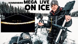 Best settings for the Humminbird MEGA Live [upl. by Llehsyt]