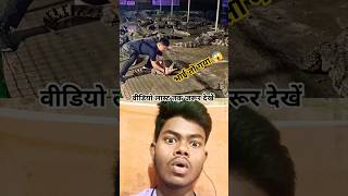 मगरमच्छ 🐊 से खेल गया 😱 Shorts video viral shorts facts Crocodile shortfeed animals snake yt [upl. by Akcimehs]