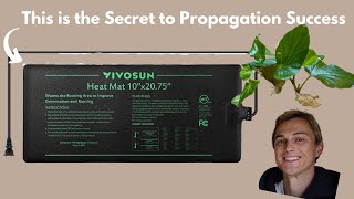 Propagate Everything Better with A Heat Mat  What They Are amp How To Use Them [upl. by Bertie612]