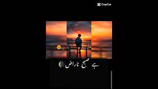 Dhoondta Tha Ek Pal Mein Dil Jise Sau Dafa 💔 😔 viralshort yautubeshort songstatus [upl. by Jefferey]