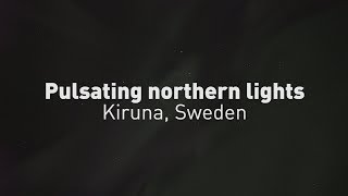 Real time pulsating northern lights above Kiruna Sweden [upl. by Yelekreb]