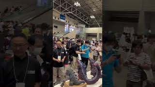 Check out the WonderFest 2023 booths godzilla wonderfest ezhobi omegabeast shin legendary [upl. by Capriola736]