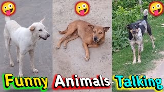 Funny Animals Talking  🤪 Satka Dimag [upl. by Arracot]