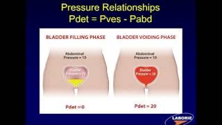 LABORIE Webinar Series Components of Urodynamic Testing [upl. by Anialram]