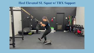 Heel Elevated SL Squat w TRX Support [upl. by Nanji]