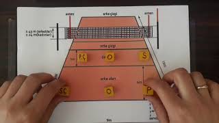TAKIM SPORLARI VOLEYBOL OYUN KURALLARI 1 [upl. by Urion]