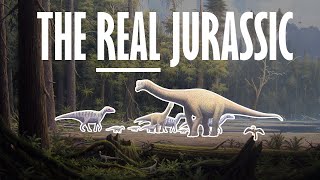 The Jurassic  The true age of the dinosaurs [upl. by Tollman908]