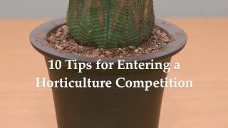 Tips for Entering a Horticulture Competition [upl. by Vey]