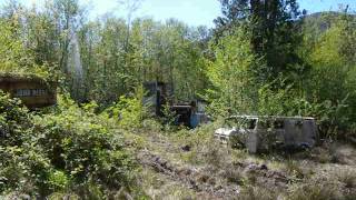 Property Full of Abandoned Logging Equipment [upl. by Hutson]