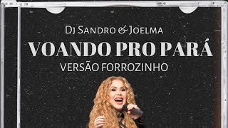 Joelma  Voando Pro Pará Versão Forrozinho [upl. by Deeas]