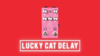 JHS Pedals Lucky Cat Delay [upl. by Nirraj]