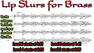 Lip Slurs for Brass  A Playalong Video by Level banddirector [upl. by Hess]