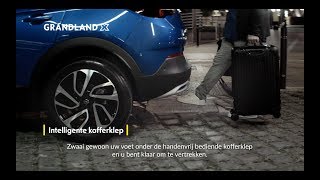 De Opel Grandland X Veel Rijplezier [upl. by Adnaval]