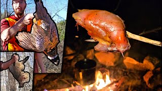 Pheasant Hunting Catch amp Cook  Truck Camping Overnight in the Woods [upl. by Erlina]