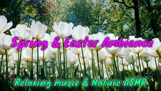 🐇 SPRING EASTER AMIBIENCE 🌷 relaxing meditation music  spring flowers  nature sounds 4k no midroll [upl. by Jeri]