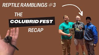 Reptile Ramblings 3 Colubrid Fest Recap [upl. by Anadal]