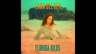 Florida Kilos Lana Del Rey Unreleased Demo [upl. by Eneleoj]