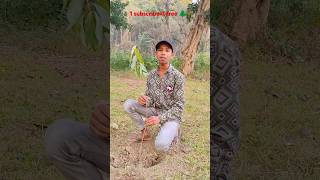 treeoflife treecare treelovers treecuttingservice treehouse treeplantation trendingshorts [upl. by Recneps]