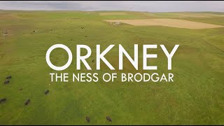 Ness of Brodgar 2016 [upl. by Acsehcnarf]