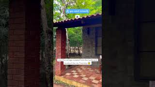 📍The Windflower Jungle Resort amp Spa Bandipur bandipur shortsvideo travelblogger hotels ​⁠short [upl. by Cheshire]