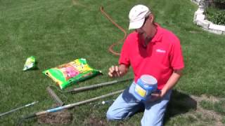 How to Plant Grass to Fix a Bare Spot [upl. by Jutta]