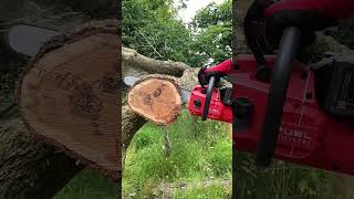 How Powerful is the NEW Milwaukee 20quot Fuel Dual Battery Chainsaw [upl. by Seuqcaj]