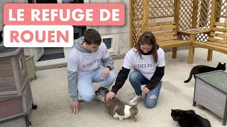 Présentation du refuge de Rouen [upl. by Soirtimid]