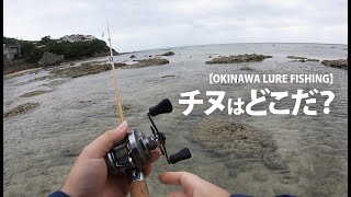 【沖縄ルアー釣り】チッヌを狙え！【チニング】 [upl. by Solracnauj189]