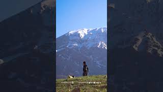 Bakhtiari nomads in the middle of the Zagros mountain  عشایر بختیاری در دامنه رشته‌کوه زاگزس [upl. by Brosine459]