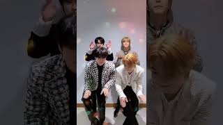 Lee Know  Kim Seungmin  Seo Changbin  Yang Jeongin  Thunderous Christmas version challenge [upl. by Nylisoj154]