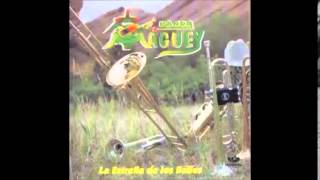 BANDA MAGUEY COMO LA LUNA [upl. by Rutger166]