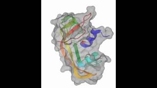 Ribonuclease [upl. by Okuy]