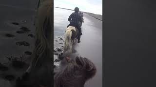 Black Sand Beaches Ride  🇮🇸 🐴 iceland horses [upl. by Ardnatal]