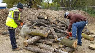 Stihl ms250 vs Husqvarna 445 race Erickson Tree Service [upl. by Nnahgaem]