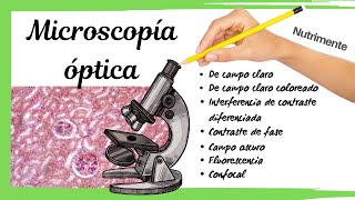 Microscopía ÓPTICA  Tipos de microscopios y examen de un preparado histológico [upl. by Nnaeiluj]