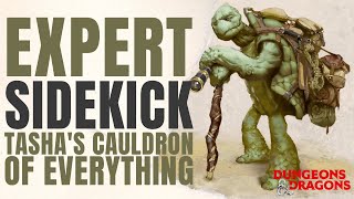 Expert Sidekick Class  Tashas Cauldron of Everything [upl. by O'Toole]