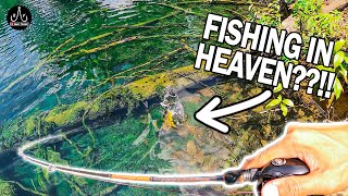 SOLO Misson for Jungle TEMENSIS PEACOCK BASS Crystal Clear Water  Episode 20 [upl. by Bringhurst]