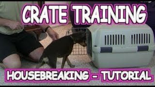 Crate Training a Puppy  Housebreaking  Tutorial [upl. by Adonis853]