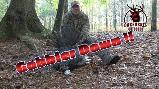 Gobbler Goes Down at the farm  Alabama  April 2024 [upl. by Colner340]