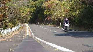 CBR250RR MC22 【Exhaust Sound】 Ethos Design Full Exhaust [upl. by Nnaylime324]