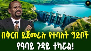 በቅርብ ይጀመራሉ የተባሉት ግድቦች  የዓባይ ጉዳይ ተካሯል [upl. by Ydner]