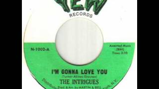 The Intrigues  Im Gonna Love Youwmv [upl. by Goldstein]